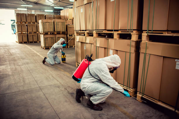 Best Pest Prevention Services  in Seagraves, TX