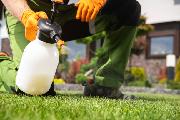 Best Rat Extermination Near Me  in Seagraves, TX