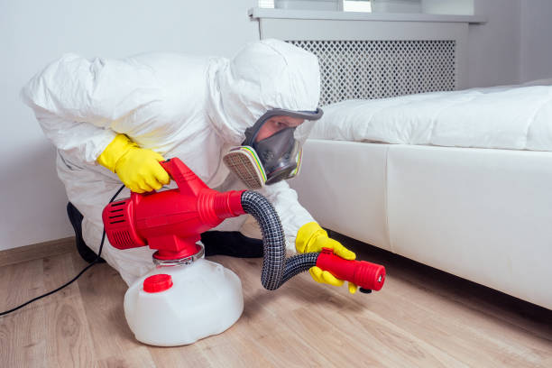 Best Residential Pest Control  in Seagraves, TX