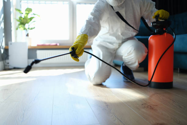 Best Pest Prevention Services  in Seagraves, TX