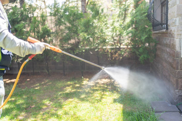 Best Wasp Removal Services  in Seagraves, TX