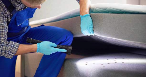 Best Bed Bug Extermination  in Seagraves, TX