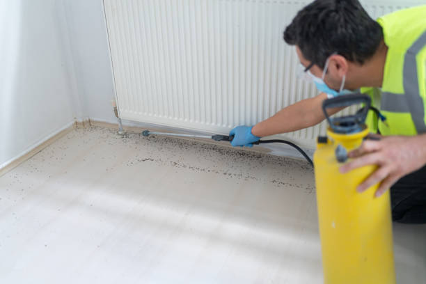 Best Affordable Exterminators  in Seagraves, TX