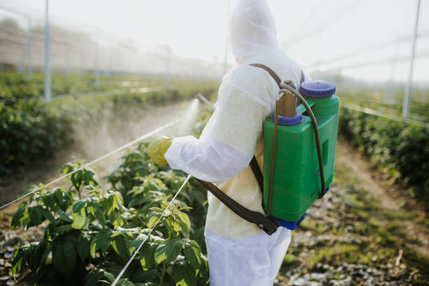 Best Exterminator Services  in Seagraves, TX